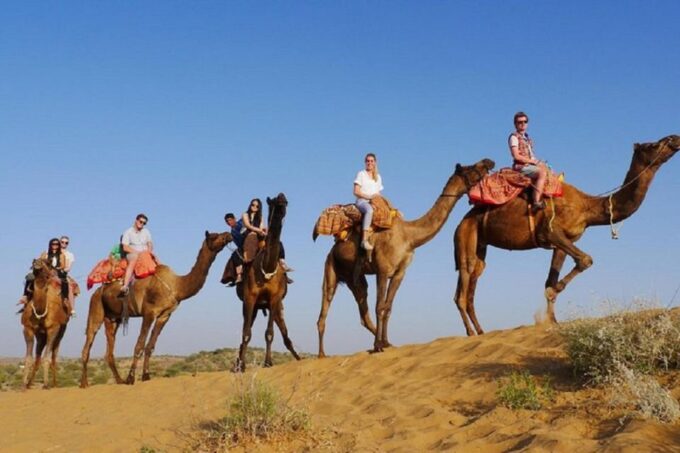 8 - Day Rajasthan Tour, Jaipur, Jodhpur, Jaisalmer & Bikaner - Exploring Jodhpur