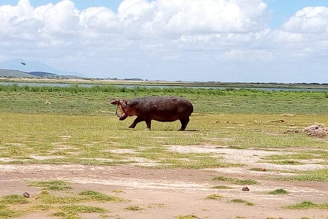 8 Day Safari: Best of Kenya & Tanzania - Packing and Dress Code