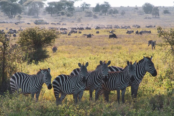 8 Day Safari The Best of Tanzania & Lake Eyasi - Itinerary Overview