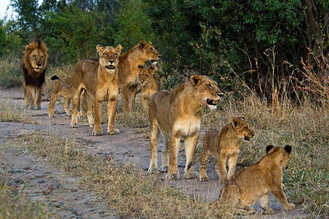8 Day Safari The Best of Tanzania & Lake Eyasi - Accommodation Options