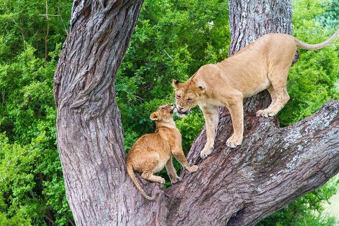 8 Day Safari The Best of Tanzania & Lake Eyasi - Packing Recommendations