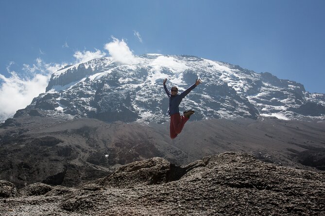 8-Day Small-group Lemosho Kilimanjaro Summit Trekking - Key Points