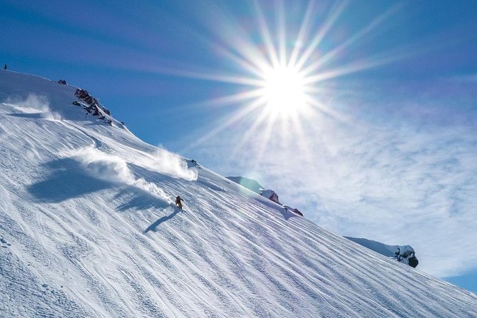8-Day Snow Safari Tour - Reverse Itinerary Option