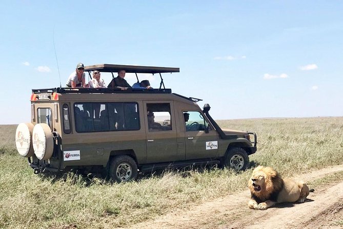 8 Day Spectacular Migration Serengeti Mid -Range Tanzania Safari - Key Points