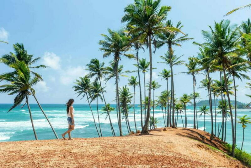 8-Day Sri Lanka Private Round Tour Hotels, Meals, Car, Guide - Key Points