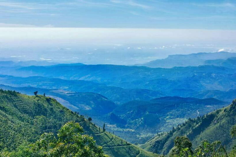 8-Day Sri Lanka Tour: History, nature, culture, wildlife - The Scenic Hill Country: Tea Plantations and Village Life