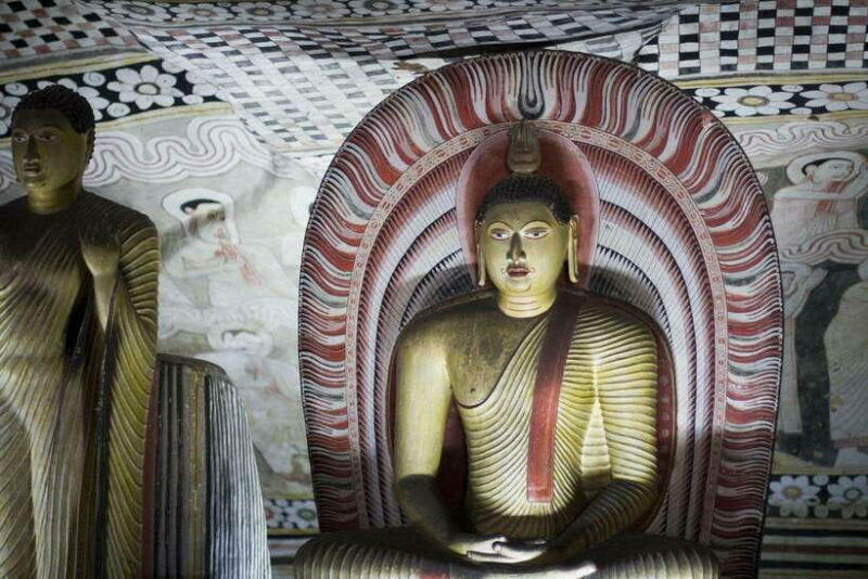 8-Day Sri Lanka Tour: History, nature, culture, wildlife - Authentic Experiences and Local Interactions