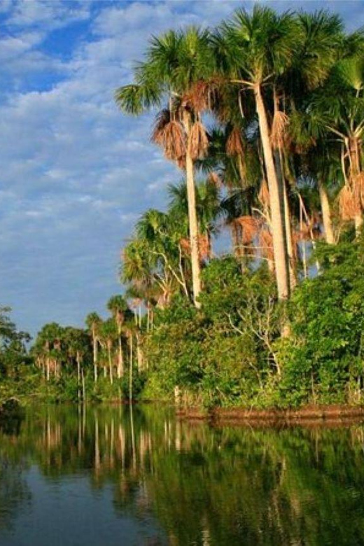 8-Day Tambopata Photography Tour - Inclusions