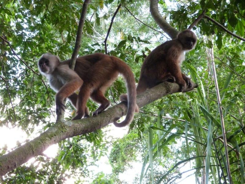 8-Day Tambopata Photography Tour - Photography Opportunities