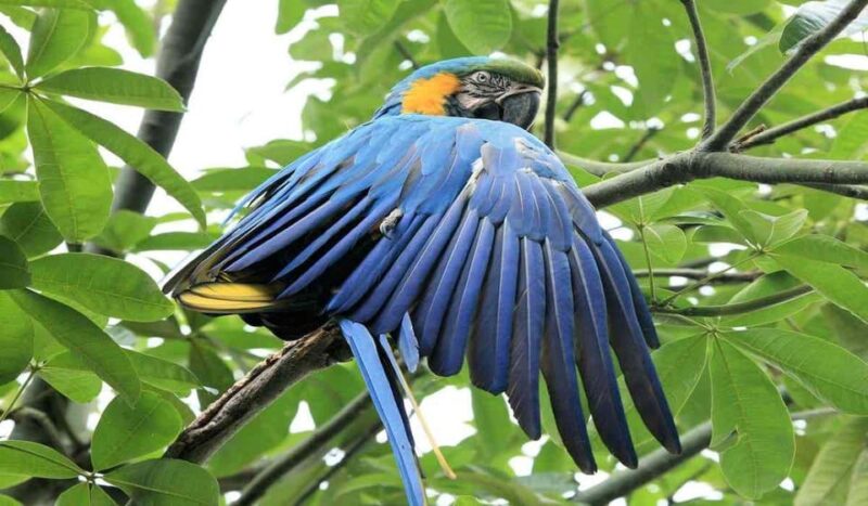 8-Day Tambopata Photography Tour - Arrival and Accommodation