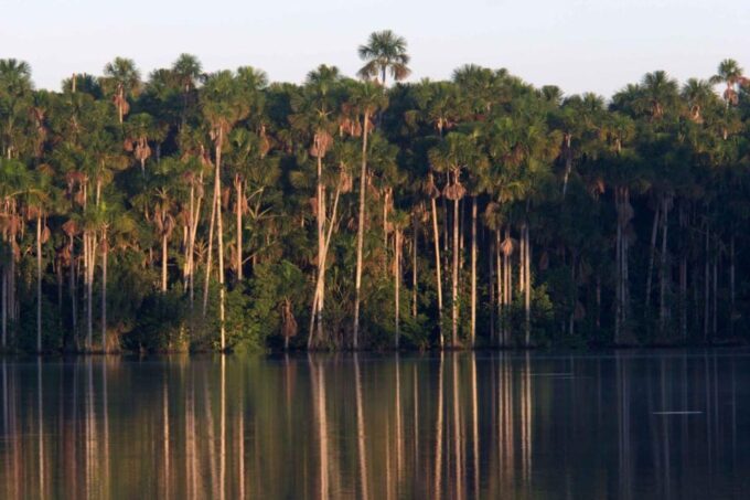 8-Day Tambopata Photography Tour - Frequently Asked Questions