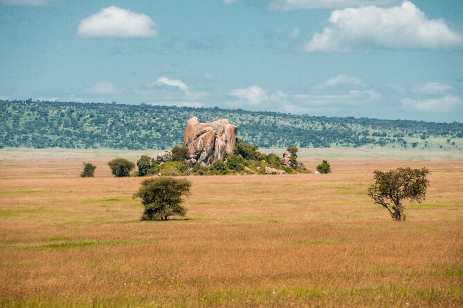 8-Day Tanzania Migration Footsteps – Midrange - Excluded Expenses