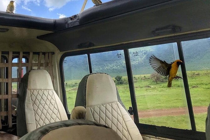 8-Day Tanzania Private Safari Tour With Airport Pickup - Inclusions
