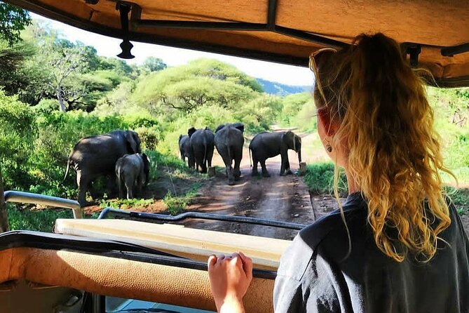 8-Day Tanzania Private Safari Tour With Airport Pickup - Pickup Information