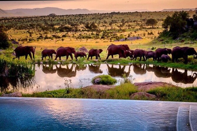 8-Day Tanzania Private Safari Tour With Airport Pickup - Accessibility