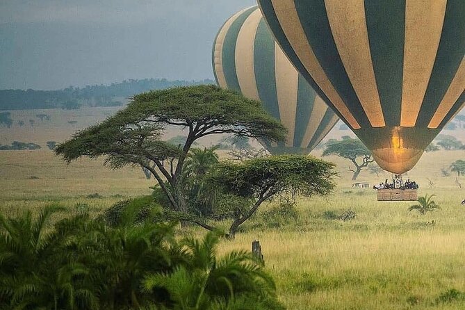 8-Day Tanzania Private Safari Tour With Airport Pickup - Reviews and Ratings