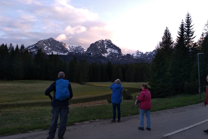 8-Day Tour Montenegro Durmitor Mountain and Adriatic Coast - Customer Feedback