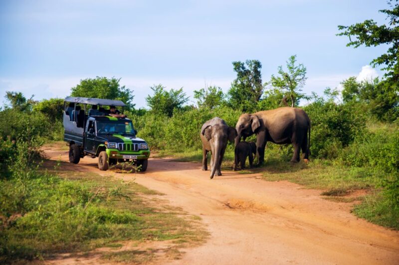 8 Day Tour Sri Lanka With Wildlife & Outdoor Experiences - Arrival and Transfer