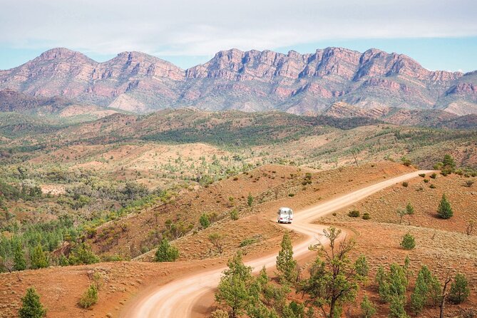 8 Day Uluru to Adelaide Cultural and Adventure Tour - Highlights