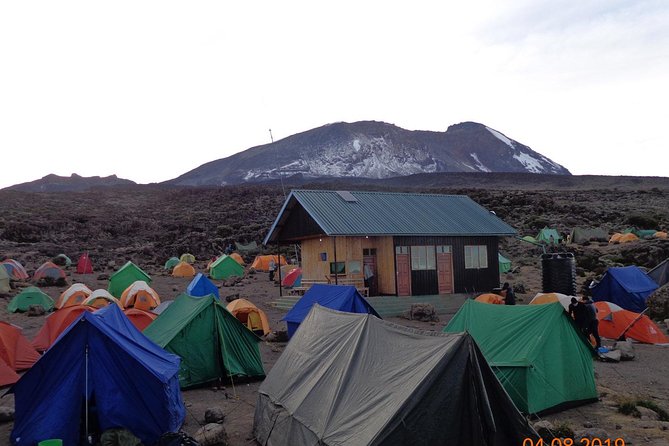 8 Days 7 Nights Kilimanjaro Lemosho Route - Meeting and Pickup
