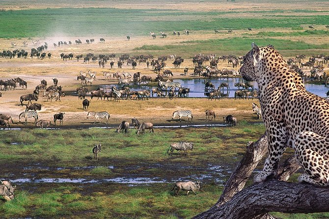 8 Days 7 Nights Tanzania Wildlife & Culture Lodge Safari - Itinerary Overview