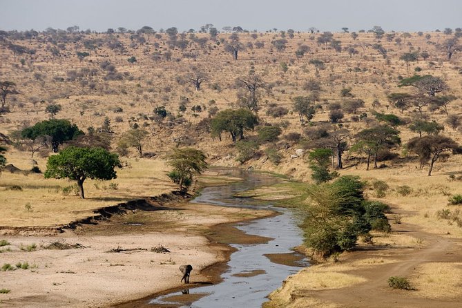 8 Days 7 Nights Tanzania Wildlife & Culture Lodge Safari - Wildlife Viewing