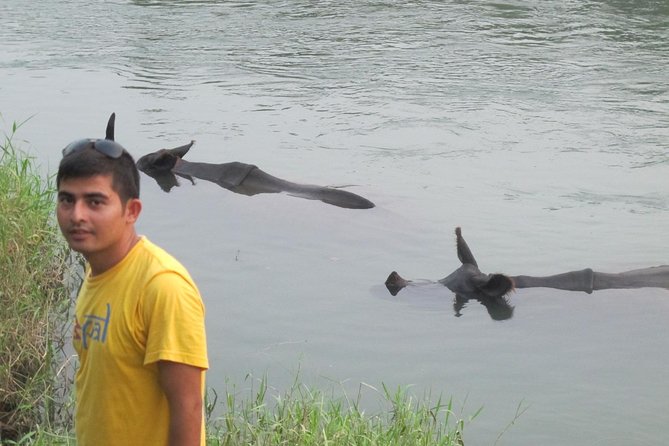 8 Days Best Kathmandu, Pokhara, Chitwan Yoga Tour in Nepal - Highlights of the Tour