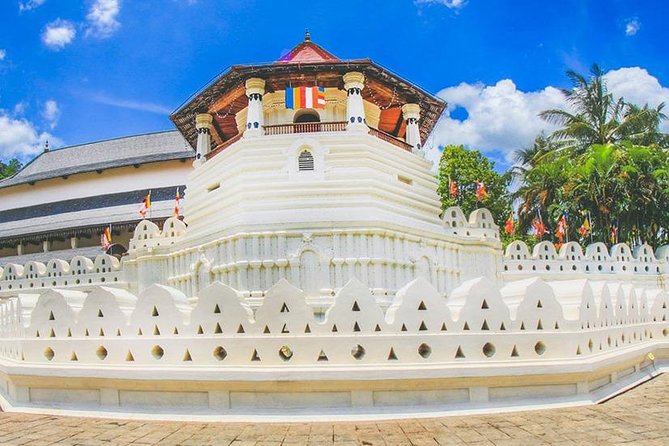 8 Days Classic Tour Sri Lanka - Tour Activities