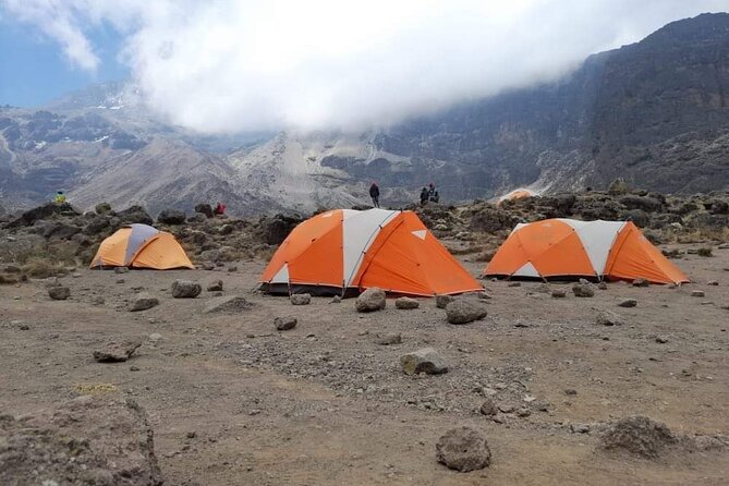 8 Days Climbing Mt.Kilimanjaro (Lemosho Route) - Memorable Experiences