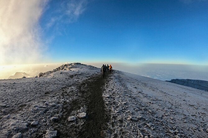 8 Days Climbing Mt.Kilimanjaro (Lemosho Route) - Porters and Cooks