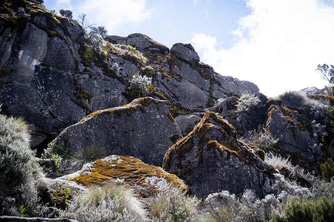 8 Days Climbing Mt.Kilimanjaro (Lemosho Route) - Pickup and Meeting Point