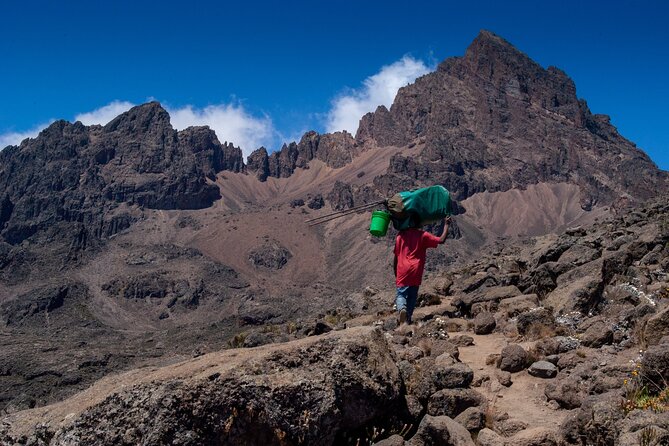 8 Days Climbing Mt.Kilimanjaro (Lemosho Route) - Traveler Reviews