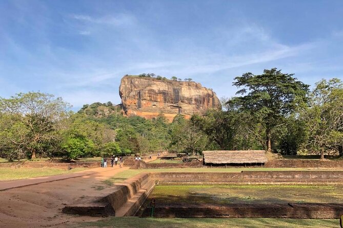 8-days Culture Triangle Tour - Traveler Reviews and Feedback