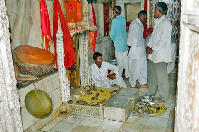 8 - Days Desert Tour of Jodhpur, Jaisalmer and Bikaner - Frequently Asked Questions