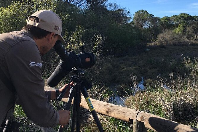 8-Days Discovering Birds of Portugal and Spain From Lisbon - About Your Stay
