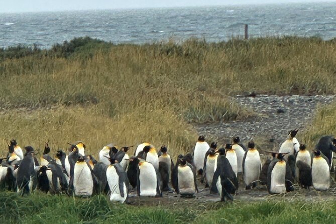 8 Days Expedition to the End of the World Southern Patagonia - Key Points