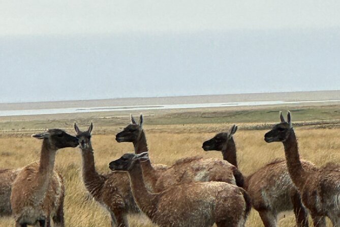8 Days Expedition to the End of the World Southern Patagonia - Included Amenities