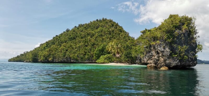 8 Days Explore Raja Ampat (Start From Bali ) - Itinerary Highlights