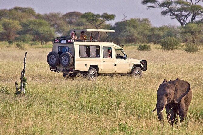 8 Days Fantastic Safari of Tanzania Midrange Tour - Accessibility and Health Considerations