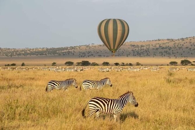8 Days Follow the Wildebeest Migration River Crossing Safari - Exclusions