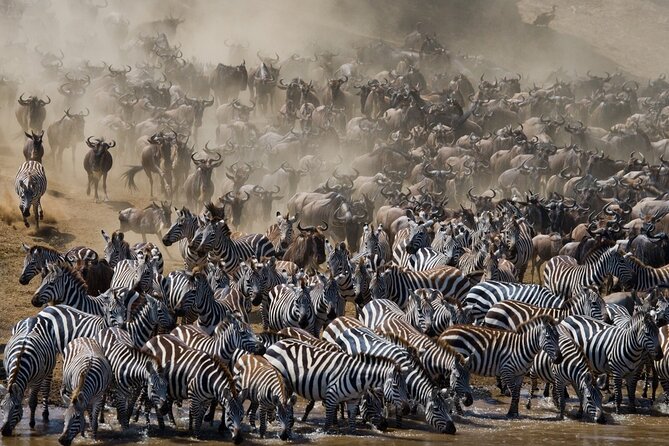 8 Days Follow the Wildebeest Migration River Crossing Safari - Meeting and Pickup