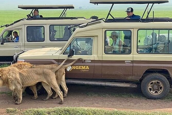 8 Days Follow the Wildebeest Migration River Crossing Safari - Accessibility and Participation
