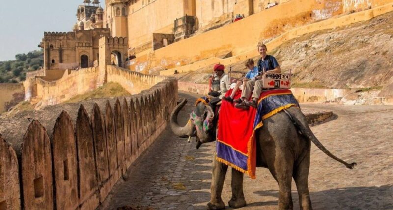 8 Days GOLDEN TRIANGLE WITH RANTHAMBORE WILDLIFE SAFARI - Itinerary Highlights