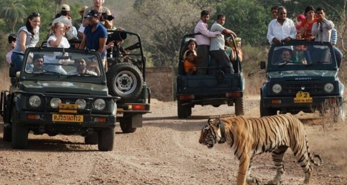 8 Days GOLDEN TRIANGLE WITH RANTHAMBORE WILDLIFE SAFARI - Frequently Asked Questions