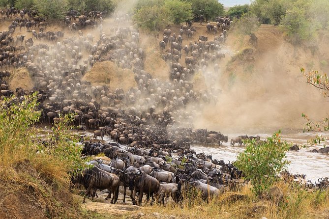 8 Days Great Wildebeest Migration - Mara River Crossing - Private Tour Experience