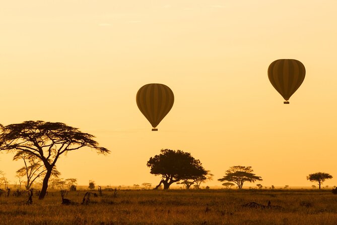 8 Days Green Season Offer - Luxury Serena Safari - Meeting and Pickup Details