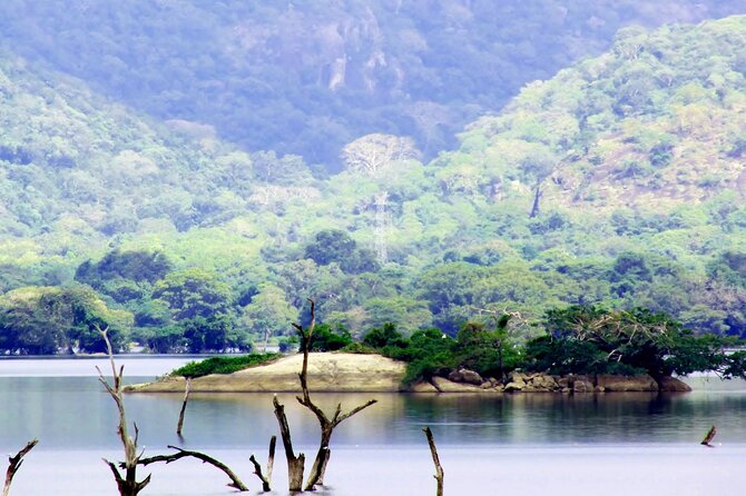 8 Days Hill Country and Coastal Tours in Sri Lanka - Accommodation and Meals