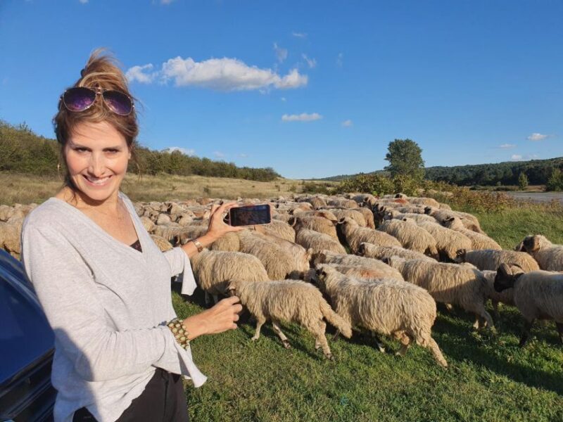 8 Days in Romania - Private Tour - Key Points