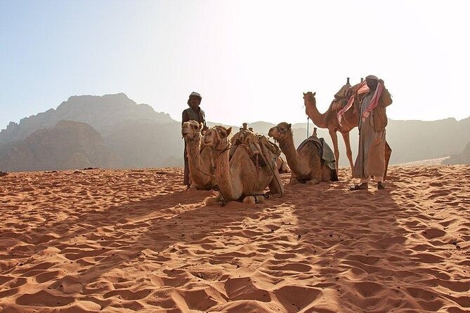 8 Days Jordan Tour: Petra, Wadi Rum, Aqaba - Cancellation Policy