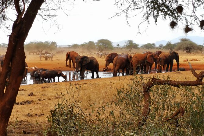 8 Days Kenya Highlights Safari Starting From Nairobi. - Pickup Information
